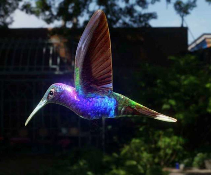 Humming Bird 3D Model
